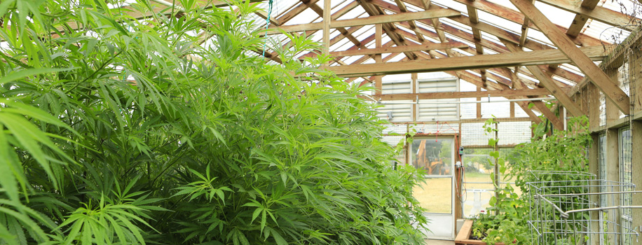 Security Solutions for Apartments in Wake Village, TX